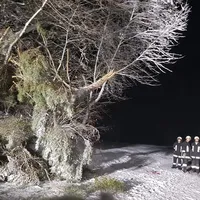 akmn1013.jpg